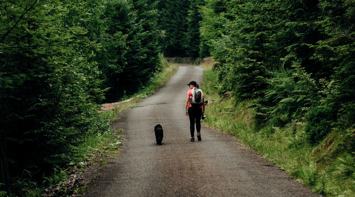 Excursionista con su perro, disfrutando de un viaje en furgoneta camper con su mascota.